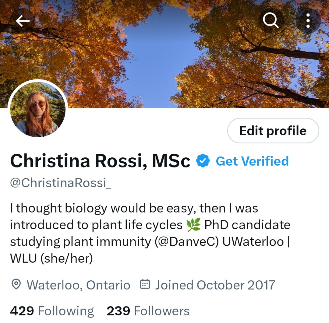 Christina Rossi, MSc (@christinarossi_) on Twitter photo It's official - as of yesterday I'm a PhD candidate 🥳🎊🎉
Thank you to my committee (<a href="/DanveC/">Danve Castroverde</a>, <a href="/zhongwei_zou/">Zhongwei Zou</a>, <a href="/innateantiviral/">Stephanie DeWitteOrr</a> and Dr. Costea) and external examiner (<a href="/thelonglab/">Tristan A F Long 🪰🔬</a>) for all of the feedback on my project!
<a href="/LaurierBiology/">Laurier Biology 💜𓅪💛</a> It's official - as of yesterday I'm a PhD candidate 🥳🎊🎉
Thank you to my committee (<a href="/DanveC/">Danve Castroverde</a>, <a href="/zhongwei_zou/">Zhongwei Zou</a>, <a href="/innateantiviral/">Stephanie DeWitteOrr</a> and Dr. Costea) and external examiner (<a href="/thelonglab/">Tristan A F Long 🪰🔬</a>) for all of the feedback on my project!
<a href="/LaurierBiology/">Laurier Biology 💜𓅪💛</a>
