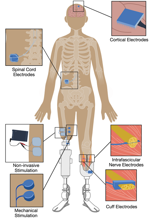 Nisky Lab tweet media