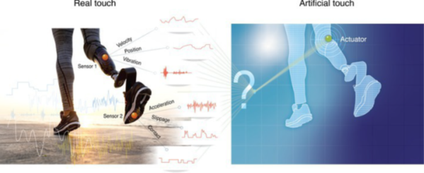 Nisky Lab tweet media