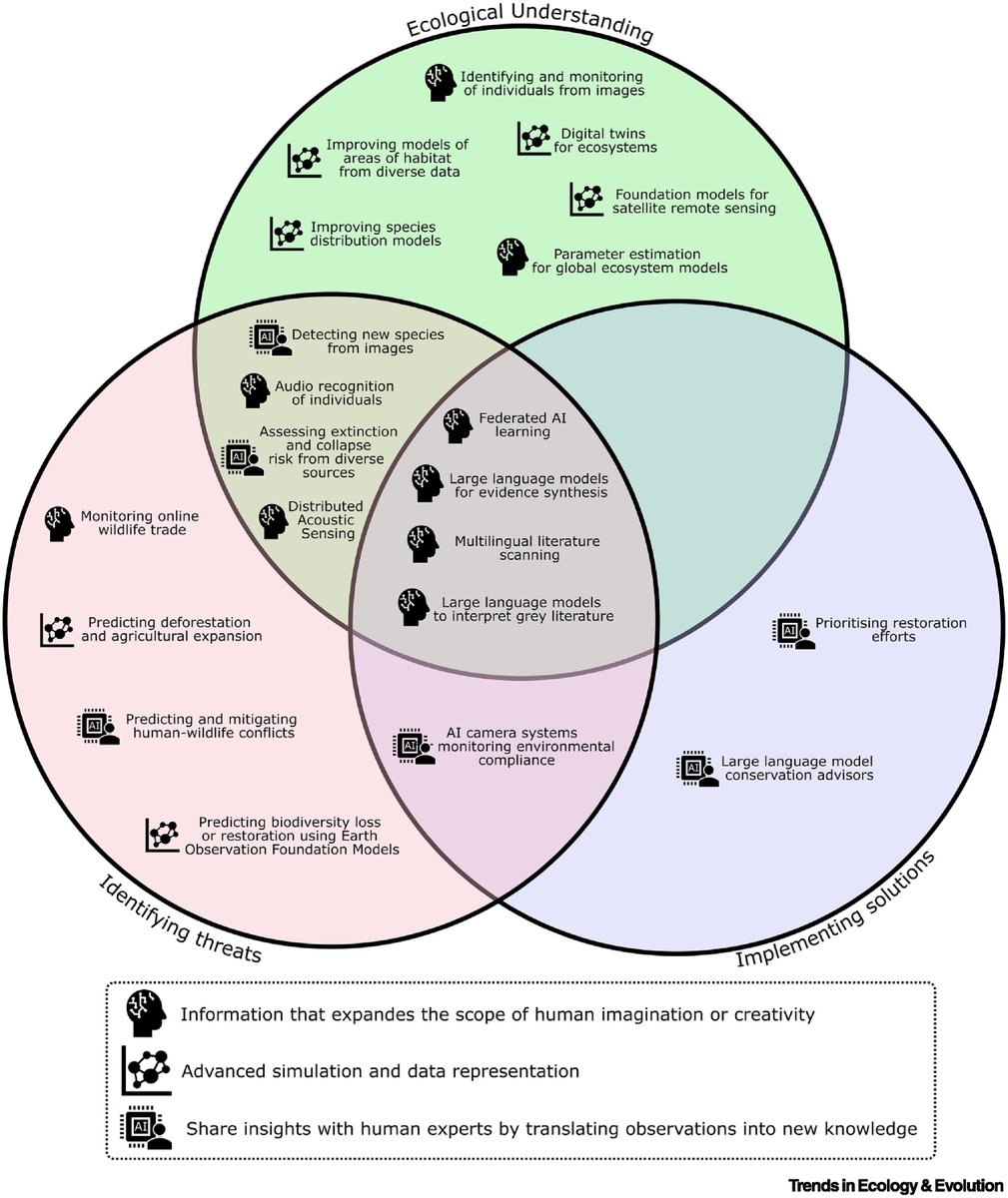 Erle Ellis (艾尔青) (@erleellis) on Twitter photo Will AI Revolutionize Conservation? 🤖 🌍
A horizon scan <a href="/Trends_Ecol_Evo/">Trends in Ecology & Evolution</a>
doi.org/10.1016/j.tree… Will AI Revolutionize Conservation? 🤖 🌍
A horizon scan <a href="/Trends_Ecol_Evo/">Trends in Ecology & Evolution</a>
doi.org/10.1016/j.tree…