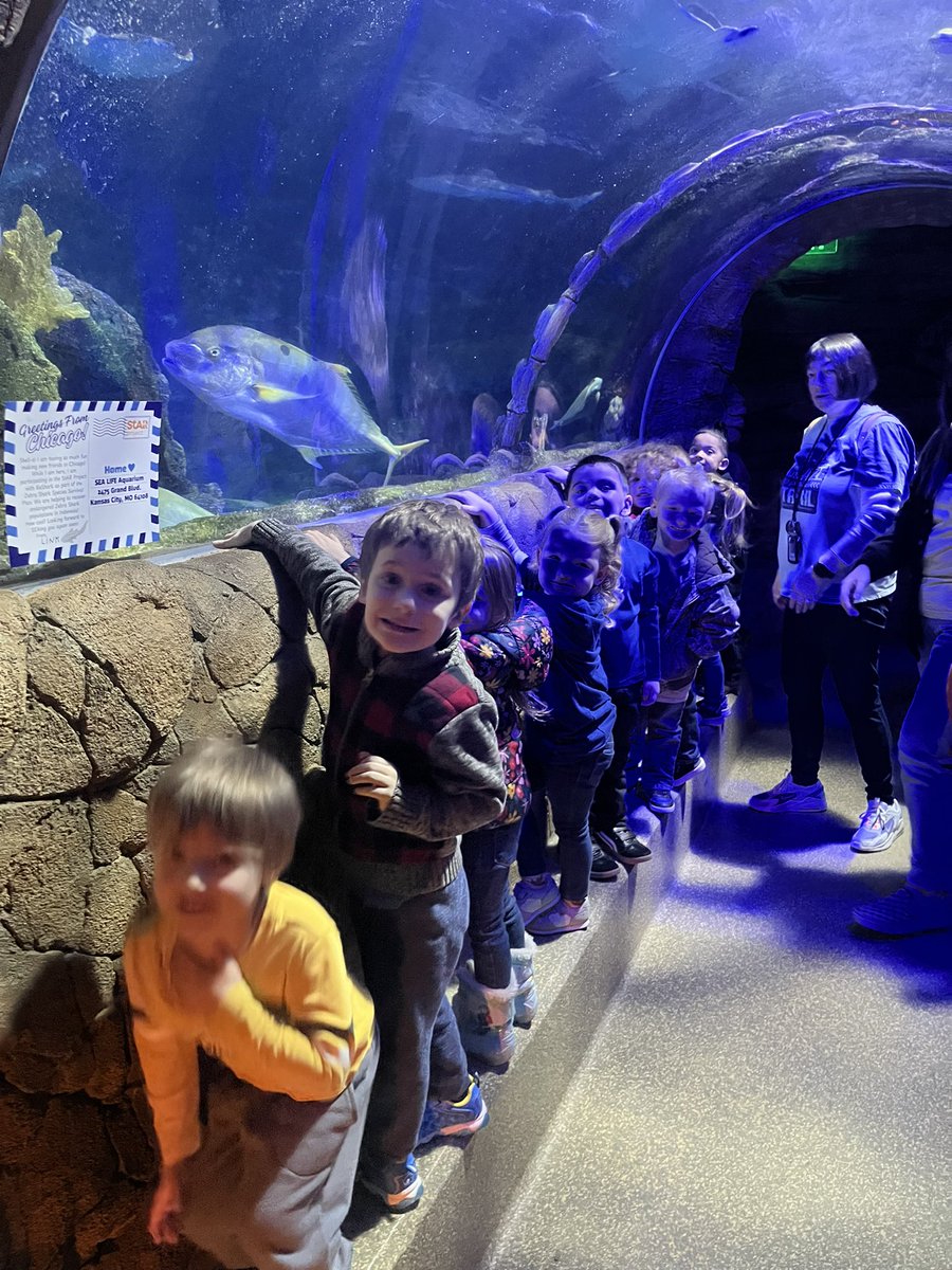 MrsEstill18's tweet photo. SeaLife Aquarium was an amazing time! Even our class elf Jingle got to tag along. Thank you, Mrs. Sought for this wonderful field trip! #isdstrong #trailblazerTRUE https://t.co/dtuEeGOwXv