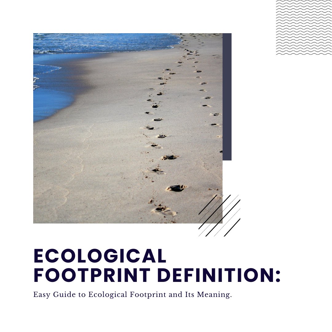 ItsEarthava's tweet image. An ecological footprint refers to the measure of human demand on Earth's ecosystems and the amount of natural resources required to support a particular population, lifestyle, or activity. 

Read more: earthava.com/ecological-foo…