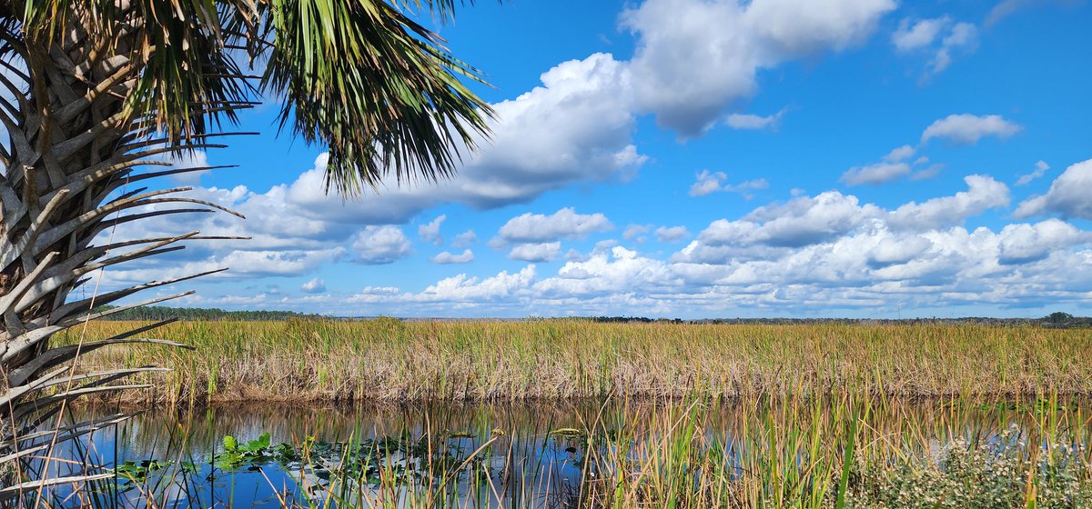 Want solitude? Lake Woodruff National Wildlife Refuge.