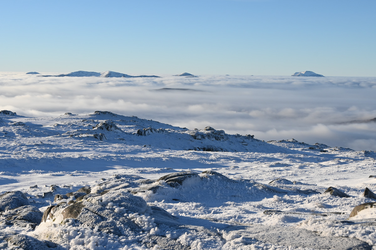 Spurtle284's tweet image. Beinn Mheadhoin from Loch Uisge. 11th December 2024 
kinleyhazel.wordpress.com/2024/12/11/bei…