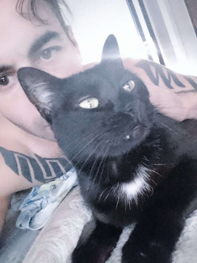 Ivan Cdh (@deimos40635639) on Twitter photo 