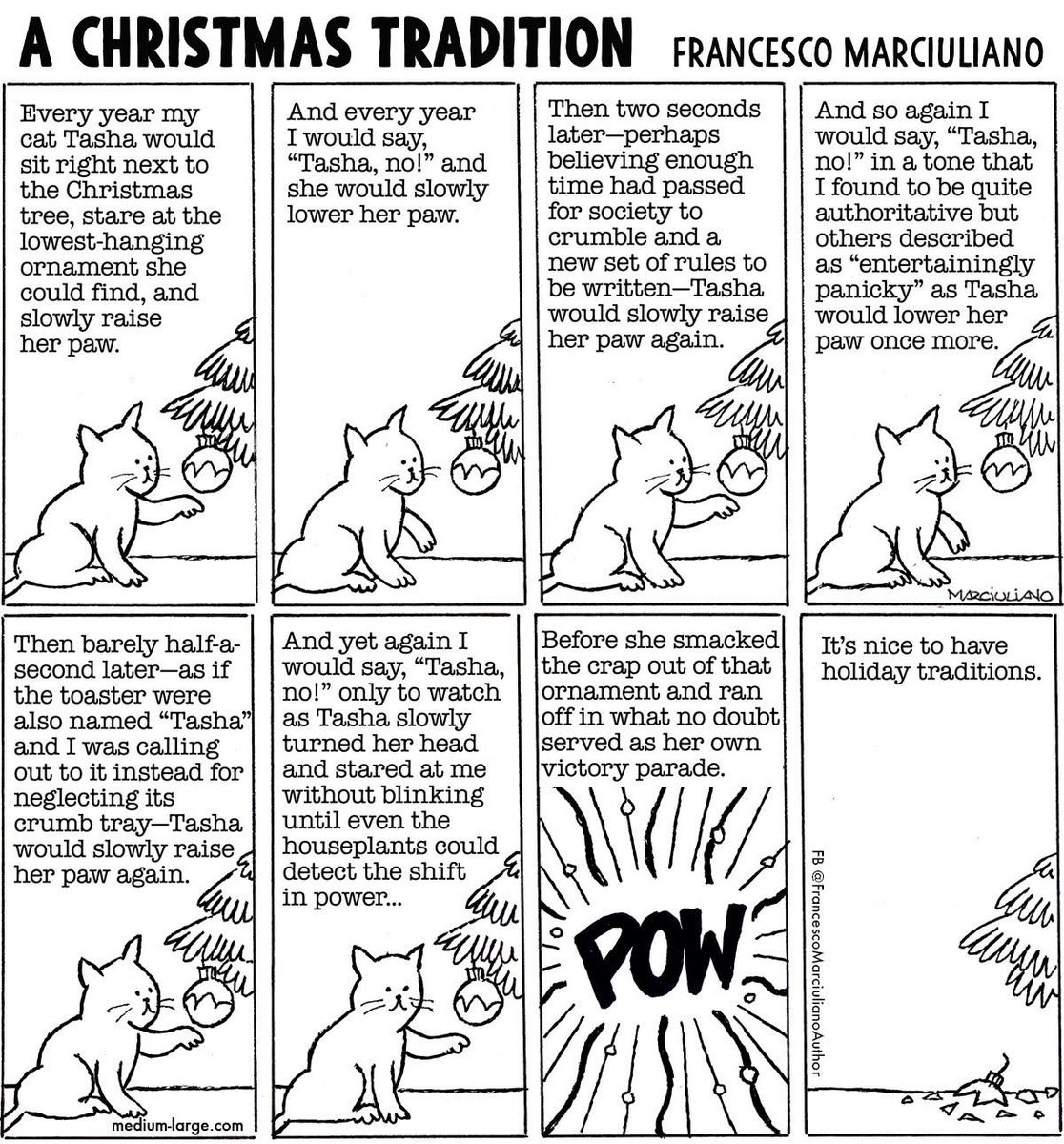 A Christmas Cat Tradition #cat #cats #Christmas #holidayseason