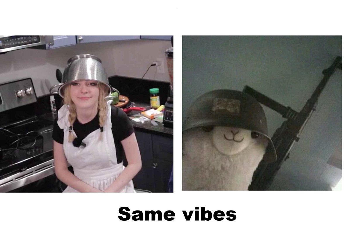 lGenl7's tweet photo. A llama and sylvee https://t.co/kDpMu39R3Y