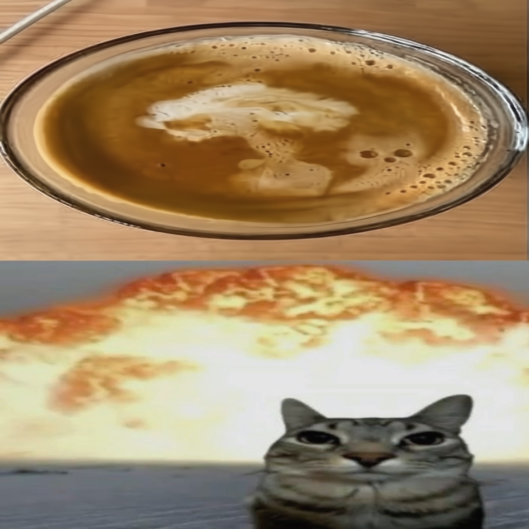 smol silly cat tweet media