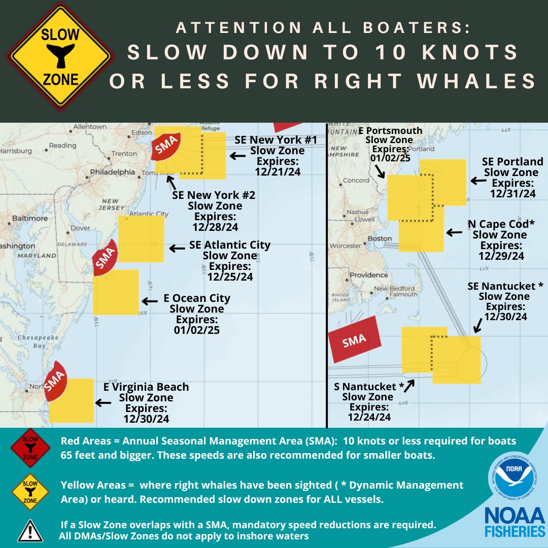 NOAAFish_GARFO's tweet photo. New #RightWhale #SlowZone and Extension: E of Portsmouth, NH, and E of Ocean City, MD in effect thru January 2, 2025. Mariners are requested to avoid or transit at 10 kts or less. See map for locations of all the Slow Zones. Sign up for alerts here: https://t.co/q1hnyM1ymD https://t.co/DFog9b1Ppm