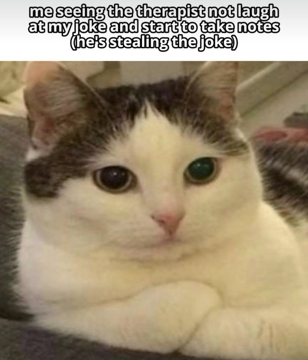 Catsillyness's tweet photo. ㅤ https://t.co/EAaLPmUk9n