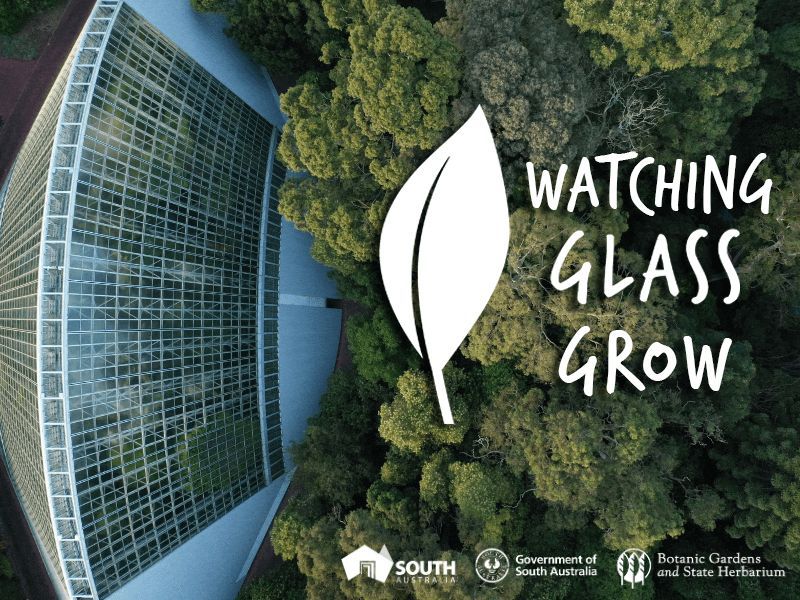 We have an exciting professional development session in January where you'll discover how to captivate your class with the Botanic Gardens SA's 𝘊𝘩𝘪𝘩𝘶𝘭𝘺 𝘪𝘯 𝘵𝘩𝘦 𝘉𝘰𝘵𝘢𝘯𝘪𝘤 𝘎𝘢𝘳𝘥𝘦𝘯 and explore our  challenge Course, Watching Glass Grow!
makersempire.com/chihuly-in-the…