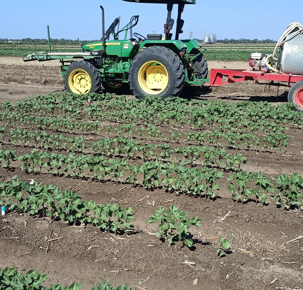Blake Palmer (@blake_d_palmer) on Twitter photo Neutron probe access tubes & capacitance probes installed + plots irrigated in my <a href="/CottonResearch/">CRDC</a>, <a href="/nswagriculture/">NSW Agriculture</a> supported <a href="/SiaSydney/">Sydney Agriculture</a> PhD trial just before a Chrissy break!
This trial is monitoring the bioremediation potential of various crops in fixing soil compaction Neutron probe access tubes & capacitance probes installed + plots irrigated in my <a href="/CottonResearch/">CRDC</a>, <a href="/nswagriculture/">NSW Agriculture</a> supported <a href="/SiaSydney/">Sydney Agriculture</a> PhD trial just before a Chrissy break!
This trial is monitoring the bioremediation potential of various crops in fixing soil compaction