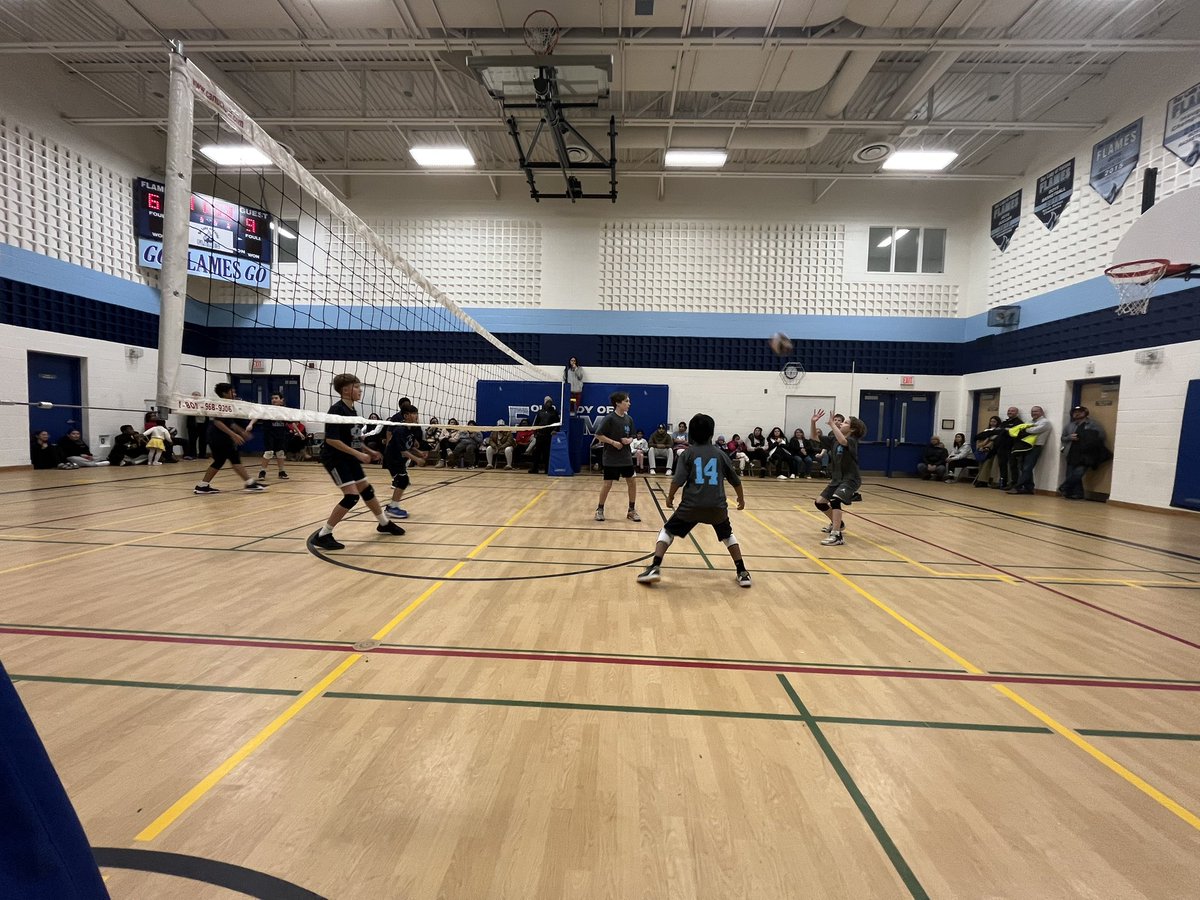 Mademoiselle Pimentel tweet media