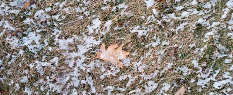 FototakerTony's tweet photo. Just a #cellpix BUT showing the cold - it's been below freezing for weeks now - and how a bit o'icing is still visible everywhere! Tomorrow it snows all day and by midnight, we should have 3-4"! #Nature #cold #lookDOWN #leaf #ice @PanoPhotos