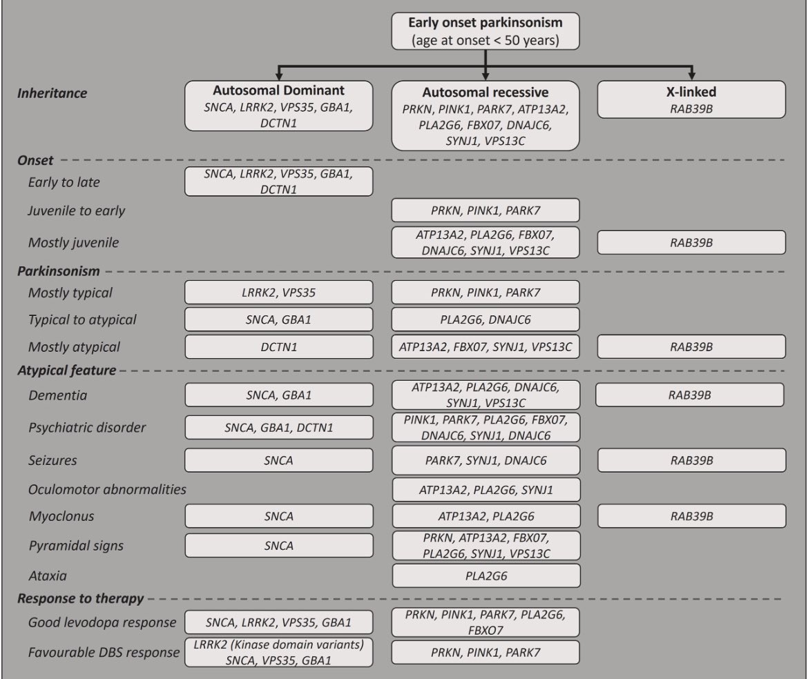 ParkinsonismD's tweet photo. #Genetic heterogeneity of early onset #Parkinson disease: #clinicogenetic

How do we approach various #PARK-related genes ?
age at onset, inheritance, clinical features and response to levodopa/DBS
@PRDAssociation 

Read the full article :

https://t.co/DCJJGCMoA1 https://t.co/NjDJ8acMjG