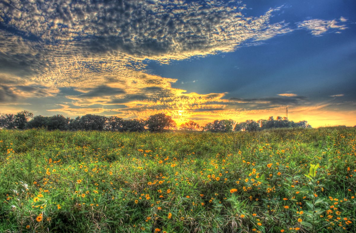 PrairiePoietes's tweet photo. God bless the Midwest. Christ made my home so beautiful. https://t.co/oTI7BZuxrF