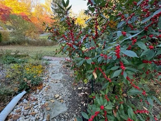DENatureSociety's tweet photo. New Post: 2024 Superstars in Business Winners Announced December 19, 2024 Delaware is experiencing a drought, with the entire state classified in severe drought conditions, according to the U.S. Drought Monitor. https://t.co/CFbGTzGsRW https://t.co/zrZmjEJuZS
