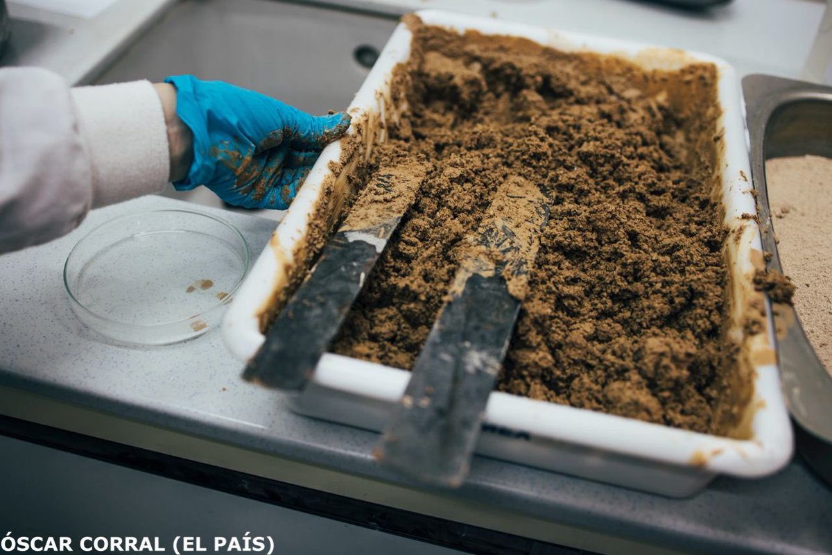 Científicos baixan ao barro da DINA en Valencia: "Convertémolo en barro manexable". elpais.com/ciencia/2024-1… via <a href="/el_pais/">EL PAÍS</a>

📸<a href="/corralfoto/">Óscar Corral</a>