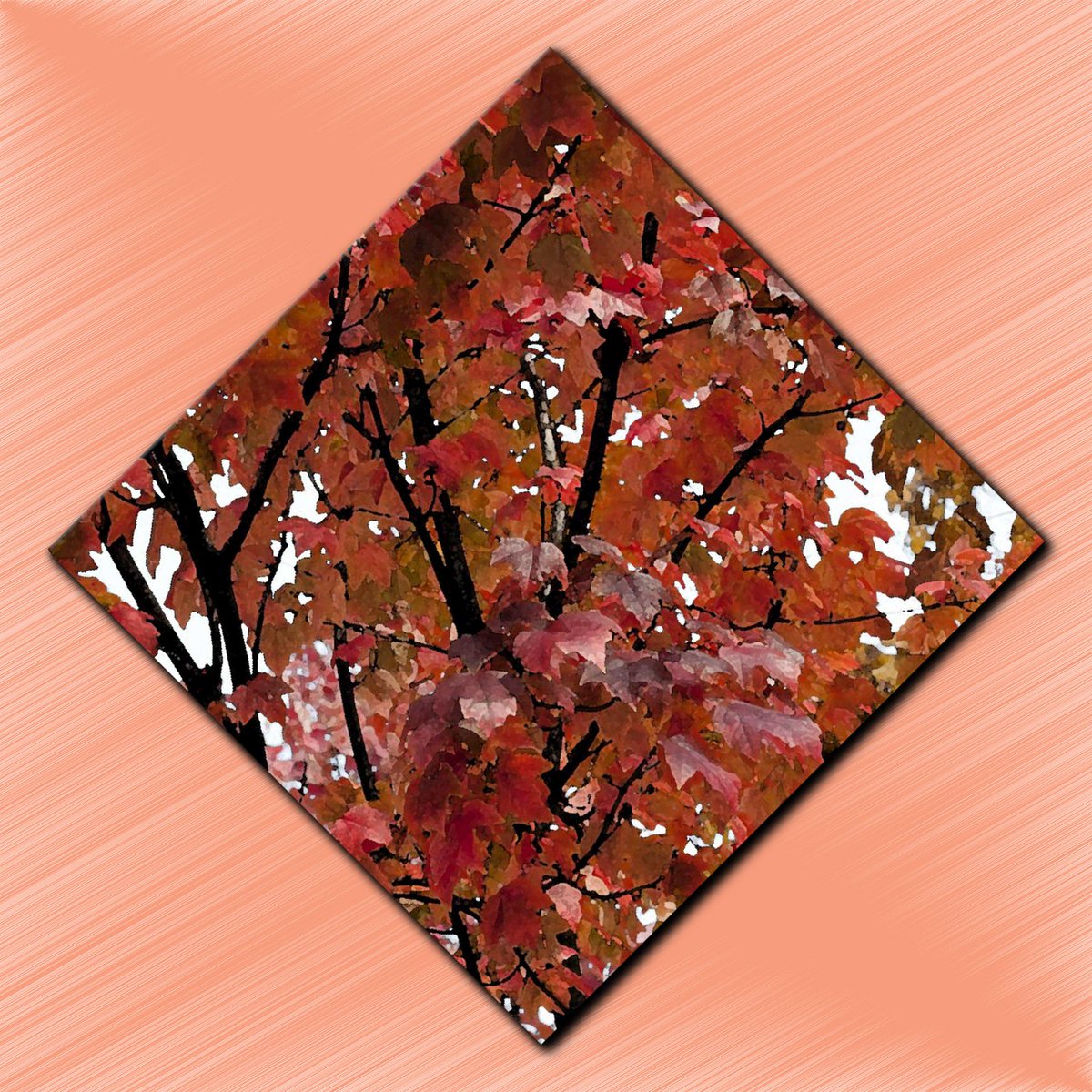 JeseaBR's tweet photo. 3 Years with Autumn's Tree! π
(October 20th, 2021)
ππππΆ
(#AutumnsTree #Music #Jesea)
https://t.co/duxRn2Z4jM https://t.co/vg25zdtYq5