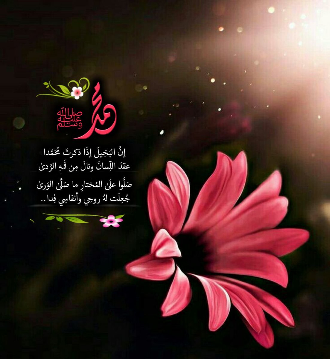 sady1500's tweet photo. اللهُمّ صلّ وسلّم على نبيّنا محمد . https://t.co/CMON3RBuCn