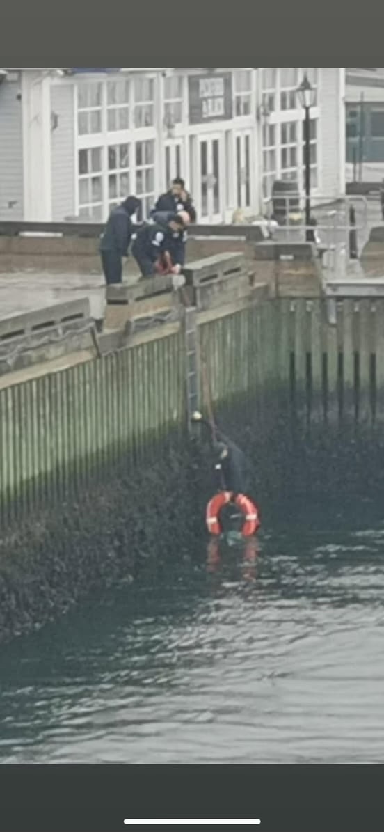 ATU members are heroes. This week, one of our Local 508-Halifax, NS, ferry crews noticed someone had fallen in the water from shore. That crew was leaving the dock so they radioed the incoming ferry. Captain Gabe Benoit, Mate Shannon Cunningham, Engineer Jason Barnes, Deck hands