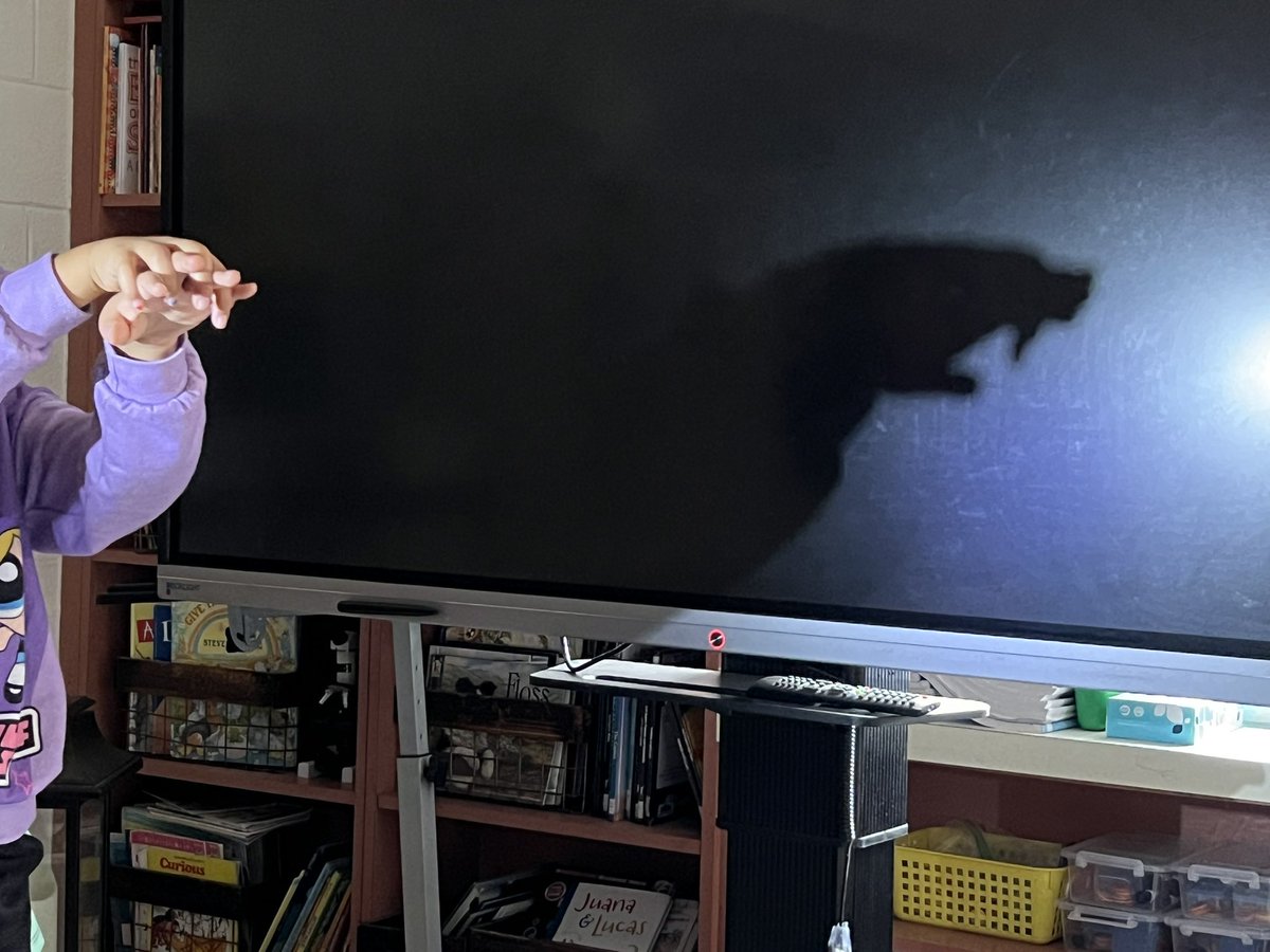 Nicole Schofer tweet media