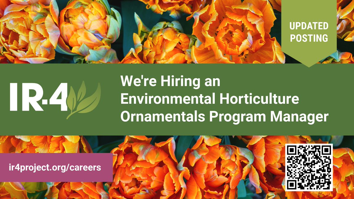 IR4_Project's tweet photo. IR-4 HQ at @NCStateCALS  seeks an Environmental Horticulture (Ornamentals) Program Manager to join our team. We have renewed our efforts to find the best candidate with an updated job posting. Learn more &amp; apply here:
https://t.co/67Lru3v7Vx

#horticulturejobs #ir4project https://t.co/RfxKqGmL17