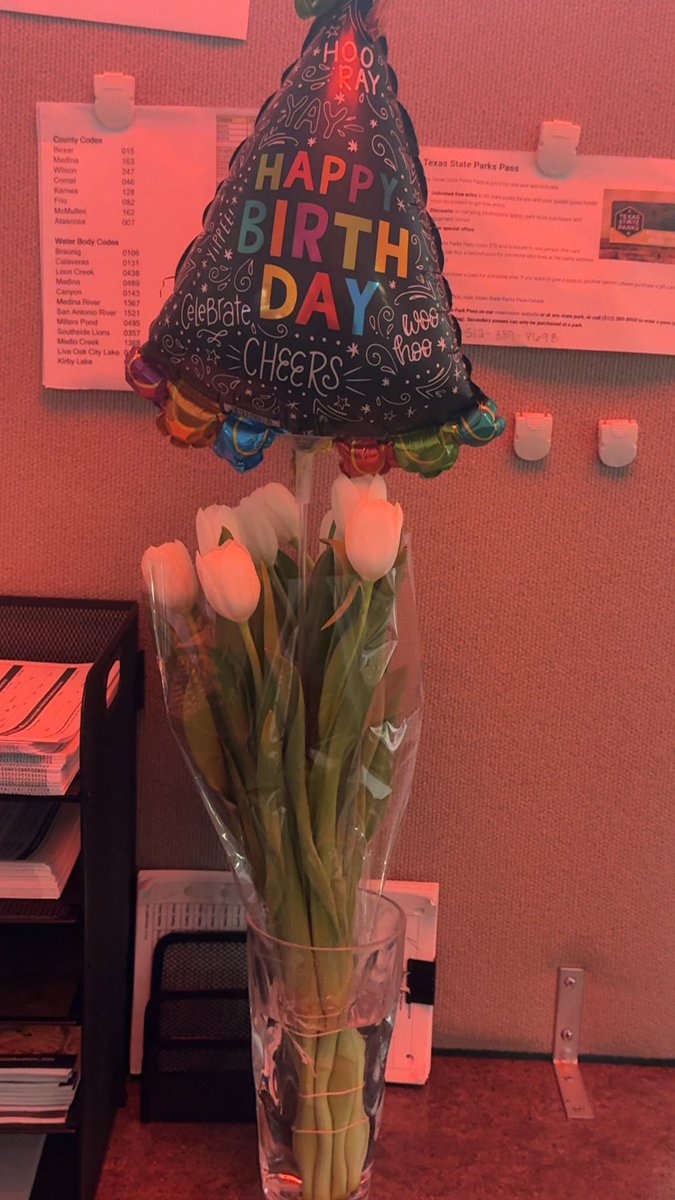 Knicole87's tweet photo. The best birthday 🥳 $200 from family &amp; spoiled all day at work w/flowers, breakfast, the bestie making time to bring lunch/flowers/balloons/gifts and then dinner @ gmas plus a bracelet … then secret Santa @ work where i got more gifts &amp; money 🥳 https://t.co/TtO8M79k7H