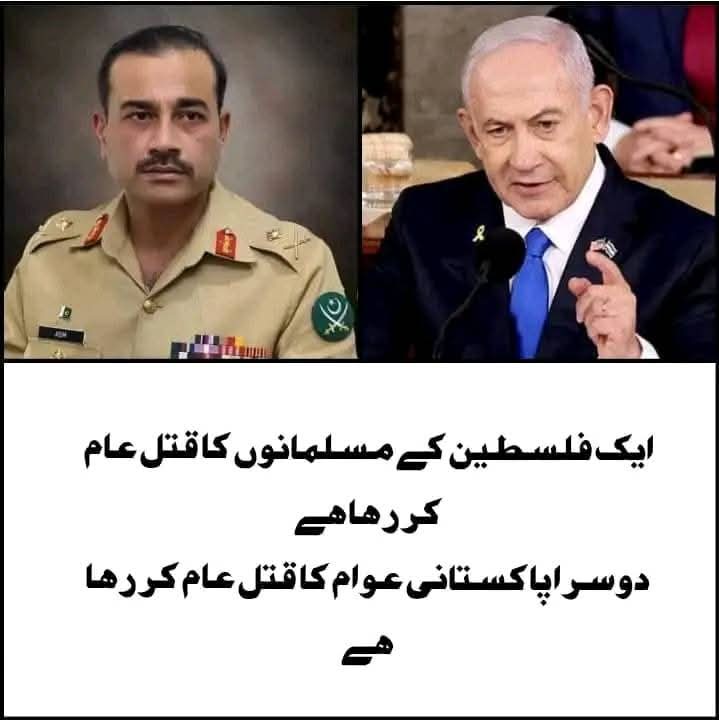 pashtoons2's tweet photo. اس خنزیر ایک دن ہم سبق سیکھائیں گے https://t.co/gmcRV2GXOY
