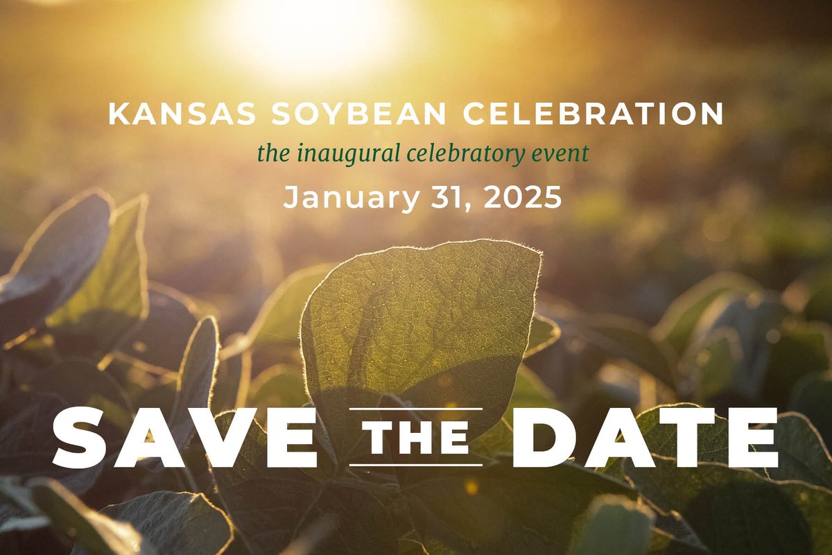 Kansas Soybean tweet media