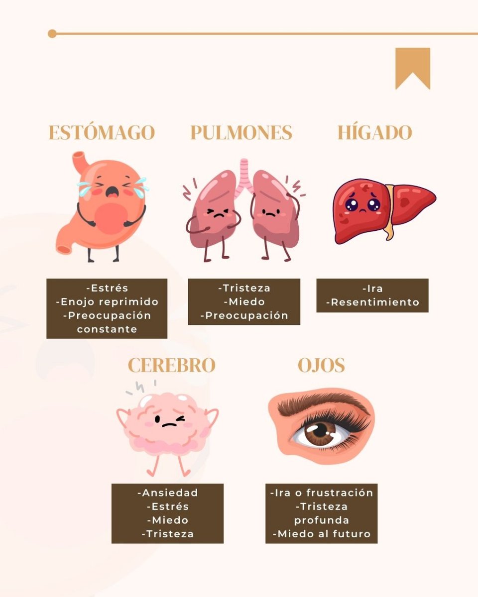 podomancia's tweet image. ¿Qué emoción sientes que tu cuerpo está manifestando hoy? 💭💖

#georgetterivera #altasvibraciones #emociones #organos #emocionesnoexpresadas #somatizar #tucuerpohabla