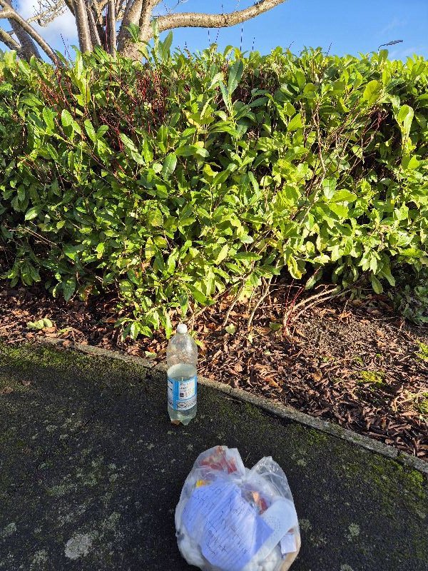 BBullrushes's tweet photo. The brambles stopped this 🚲 being thrown into our #Thulston brook. Went back today with shears to cut the brambles &amp; and remove it. The bush revealed more litter but nicely bagged 🙂 3 more bags filled too. @KeepBritainTidy @CanalRiverTrust @Litterwatch1 @LitterReporting https://t.co/sFLZqHFCtD