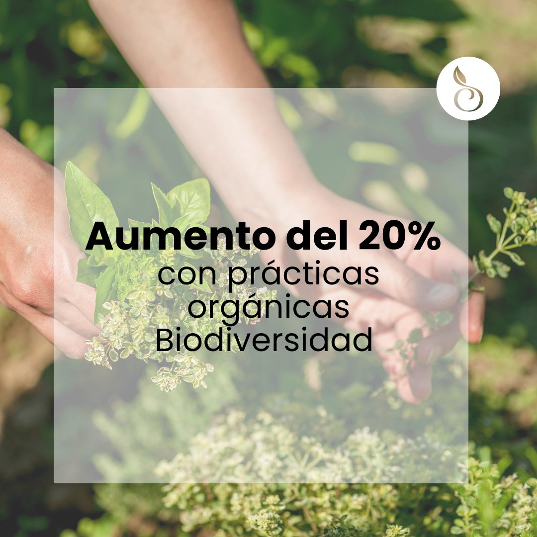 Estas estadísticas  destacan los importantes beneficios nutricionales y medioambientales de elegir productos orgánicos. ¡Obtén más consejos y datos en nuestra hoja de consejos sobre especias, hierbas y tés! bit.ly/3YJxm9M