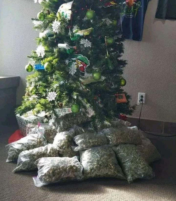 Come get your Christmas 🎄 packs