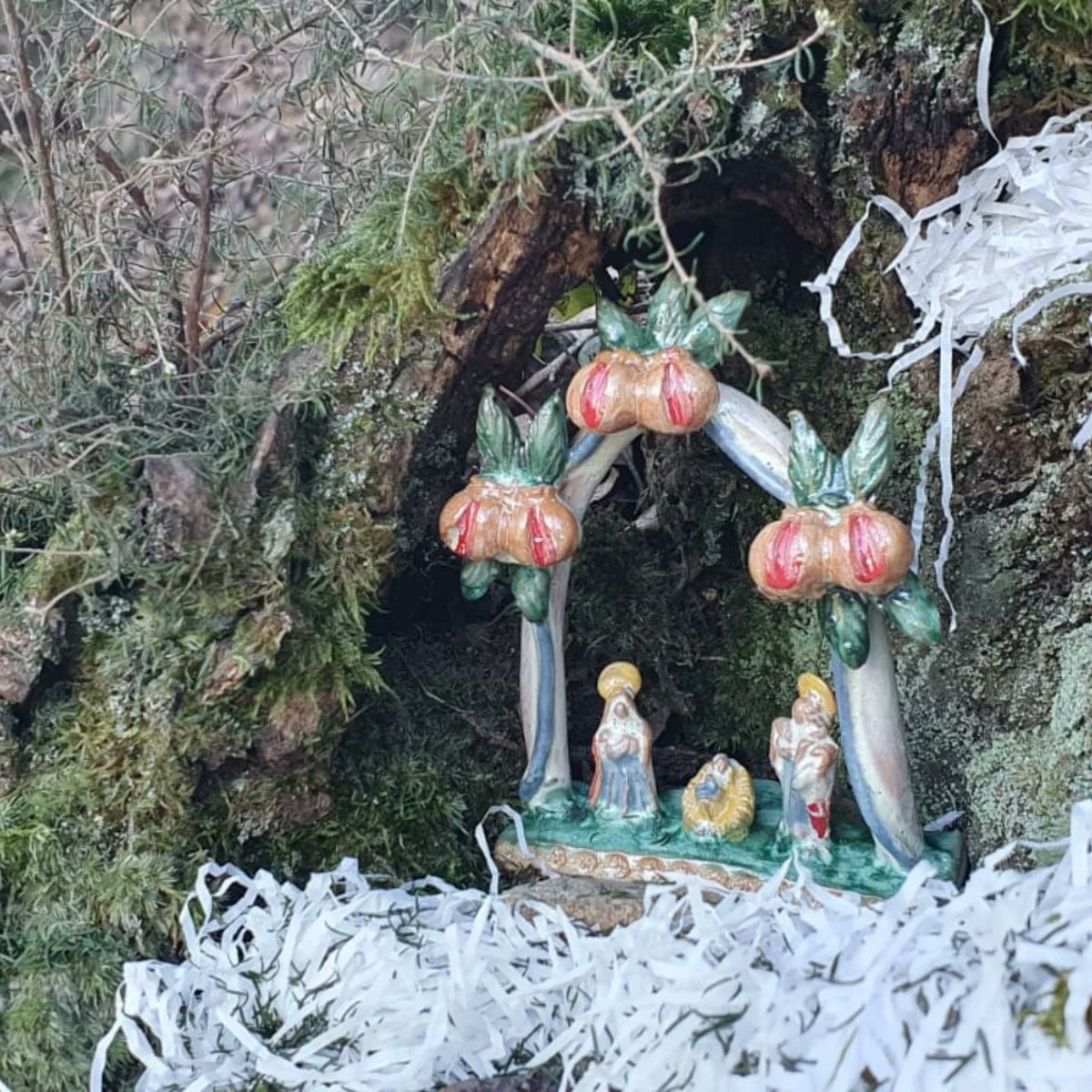 ParcoPortofino's tweet photo. Due dei tanti #presepi allestiti lungo il sentiero Gaixella - Pietre Strette. Andate a vederli, potete partire da Ruta di Camogli, raggiungibile con bus di linea, o salire in auto fino a Portofino Vetta. 
Seguite il segnavia "quadrato rosso"
Percorso facile.
#lamialiguria https://t.co/EB4a2Msr8l