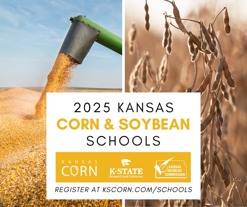 Kansas Soybean tweet media