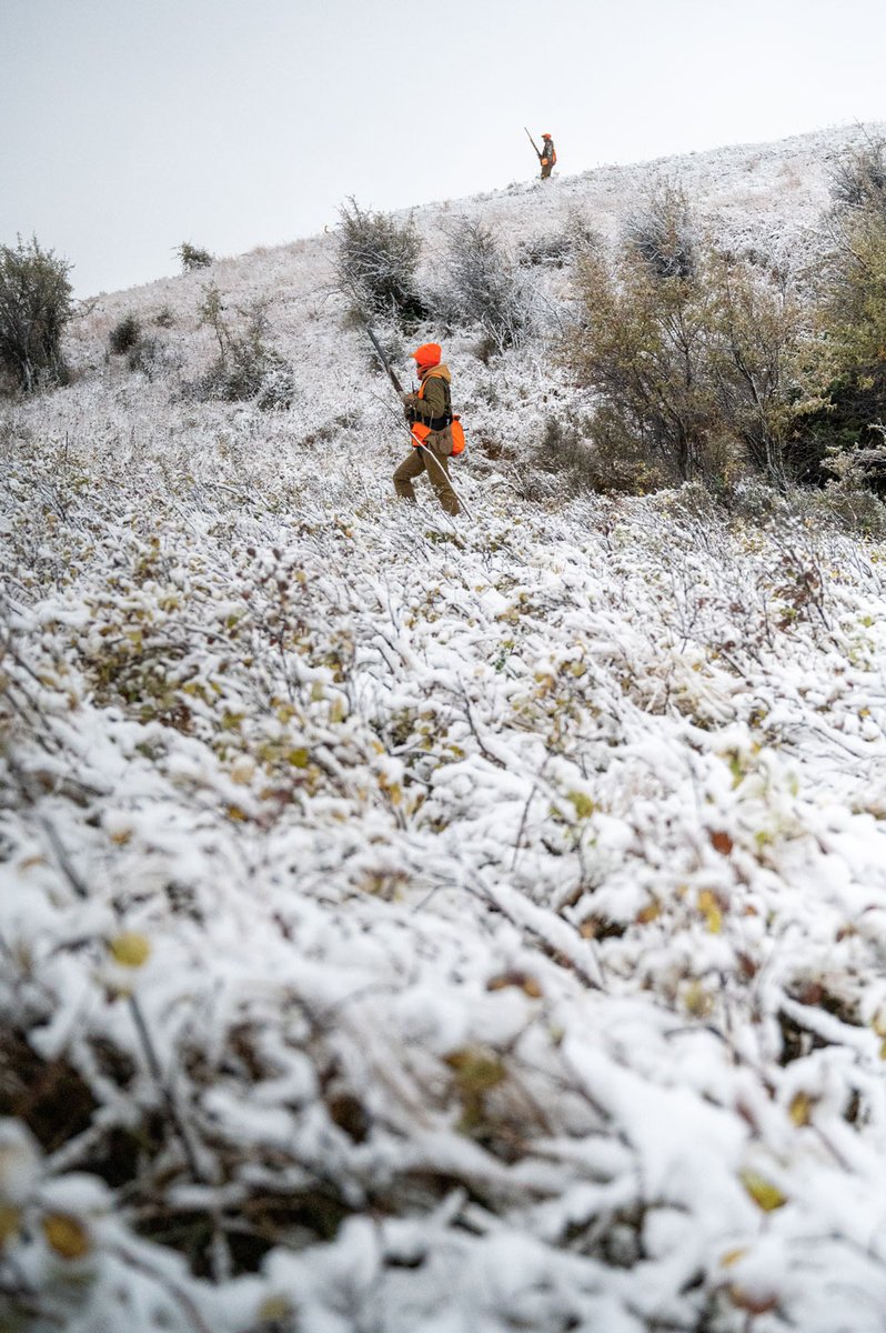 Pheasants Forever tweet media