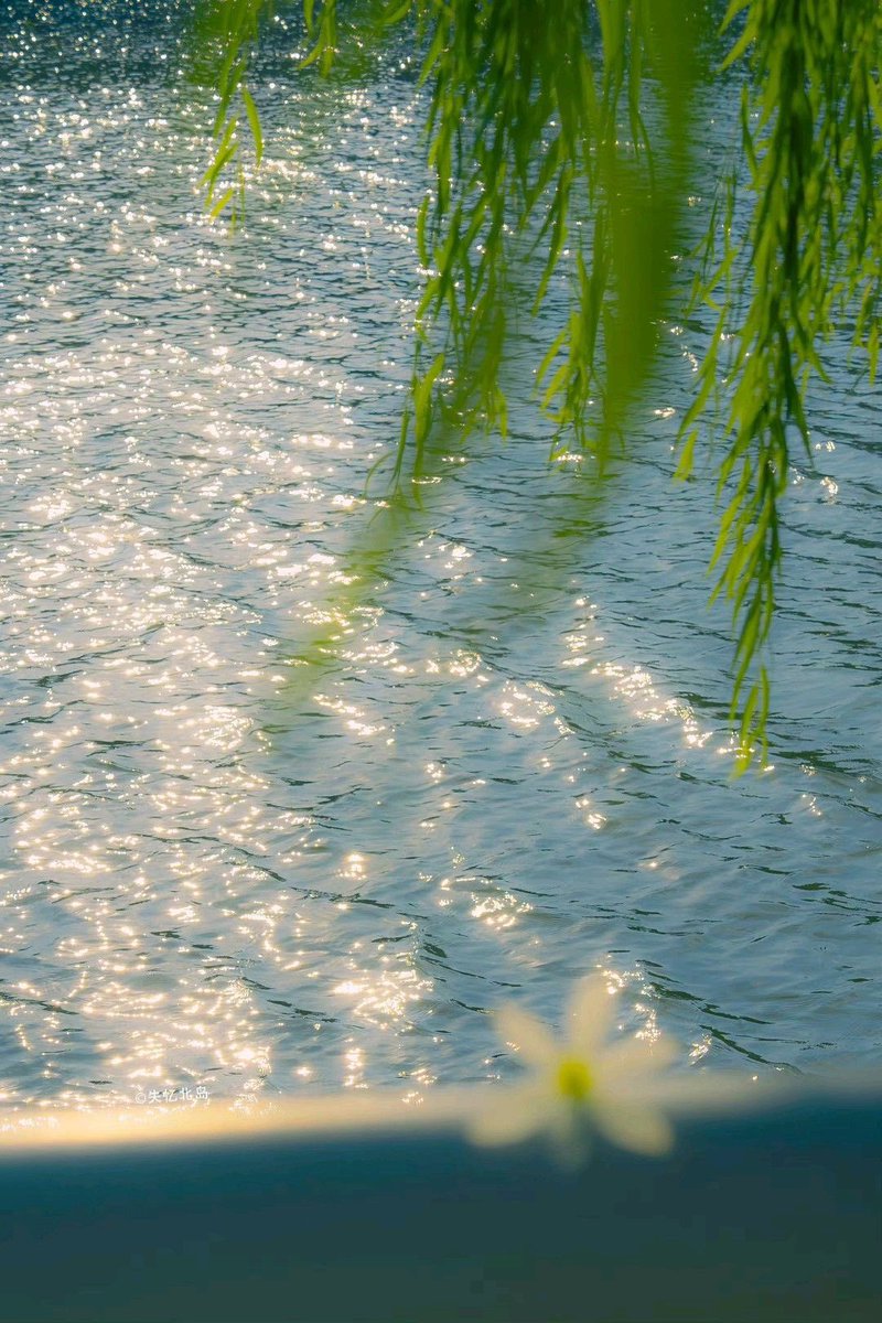 blue dream (@bluedreamvibes) on Twitter photo 