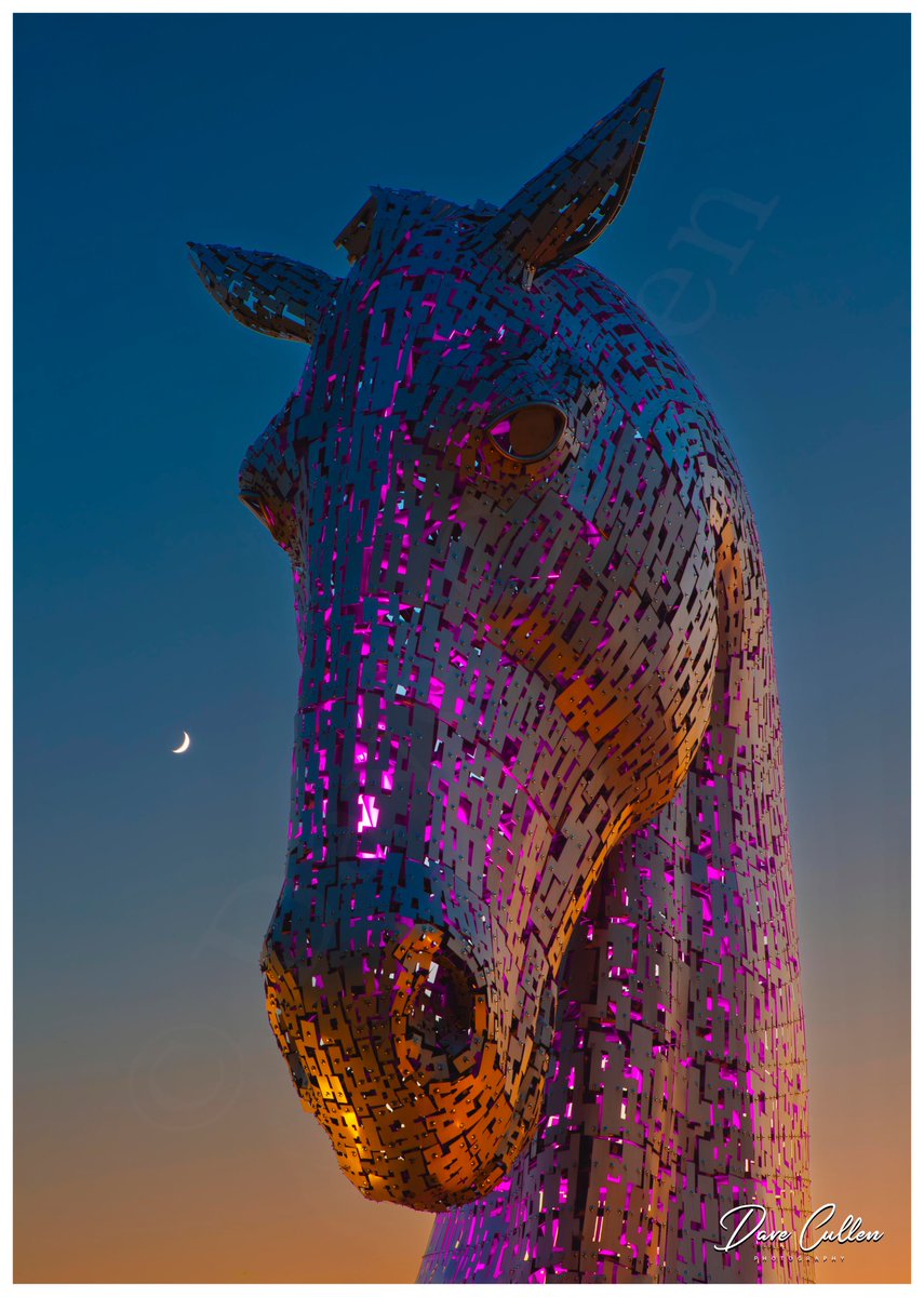 dcullen_photo's tweet image. The Kelpies
@Kelpies @WorksScott @VisitScotland @HelixFalkirk @scottsculptures #andyscott #sculpture #scotland #visitscotland #visitFalkirk #Kelpies
© Dave Cullen Photography 2024