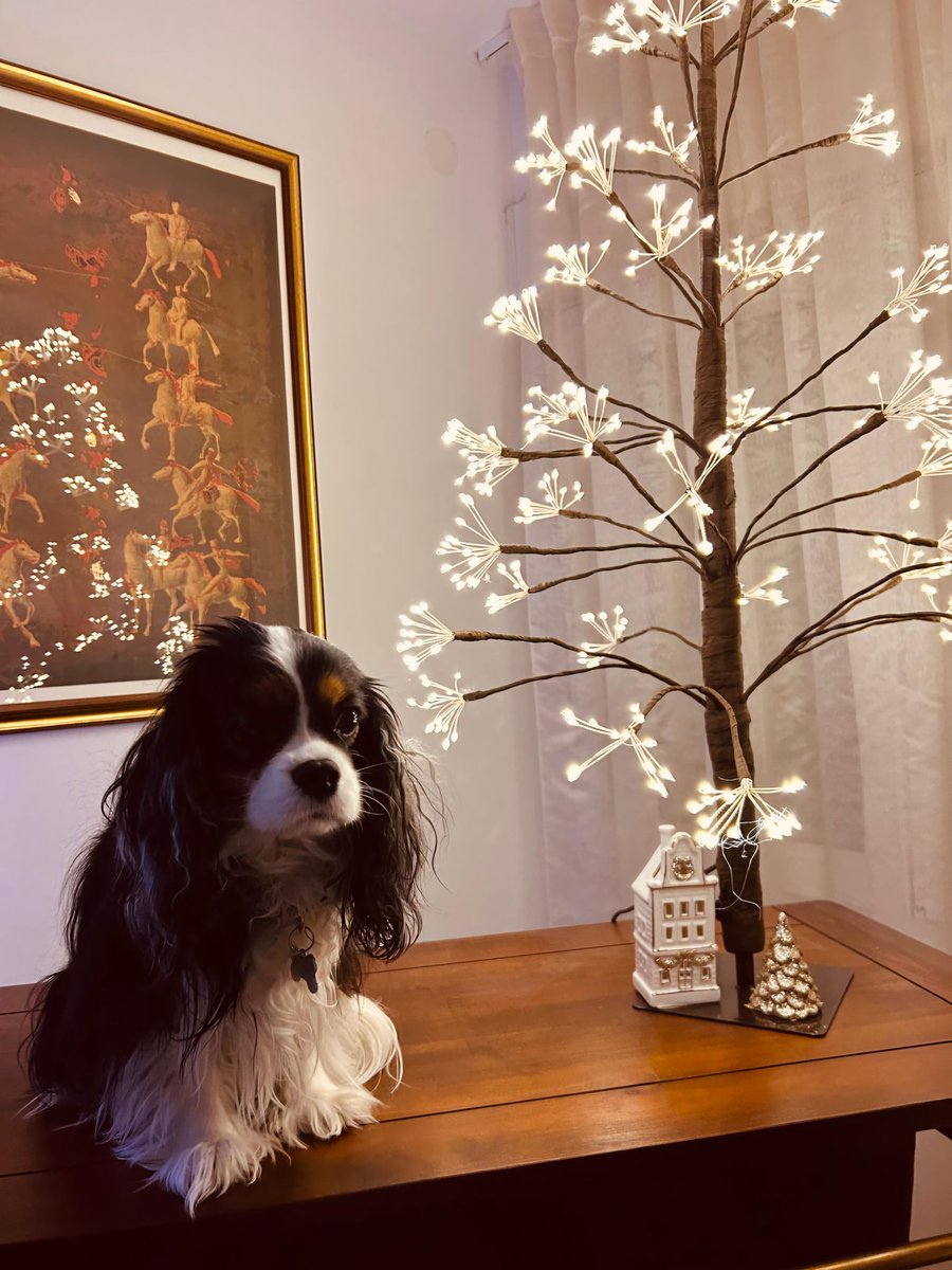 🎄🙄🤭