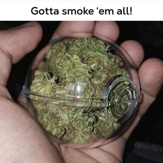 weedlings73's tweet photo. https://t.co/UkbcS9tRk1
