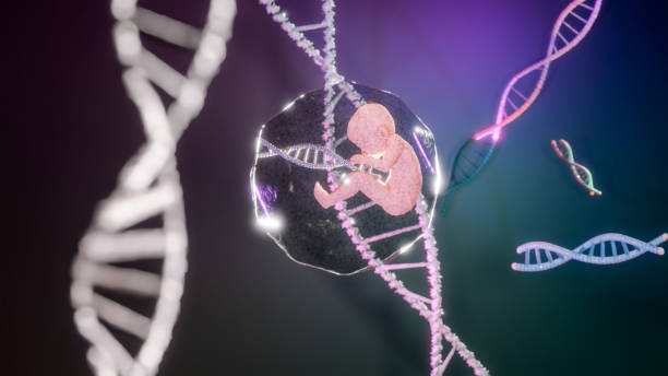 Preprints_org's tweet photo. 🍼 Rare cause, major impact: 
Actinomyces spp. is a rarely reported cause of chorioamnionitis, a leading factor in preterm birth (PTB).  

🔍 Examine placentas for pathogens.  
💊 Recommend targeted antibiotics.  

https://t.co/hLU9ZbjOZE

@DrPIdaewor #MaternalHealth https://t.co/ZlQjviEmPe