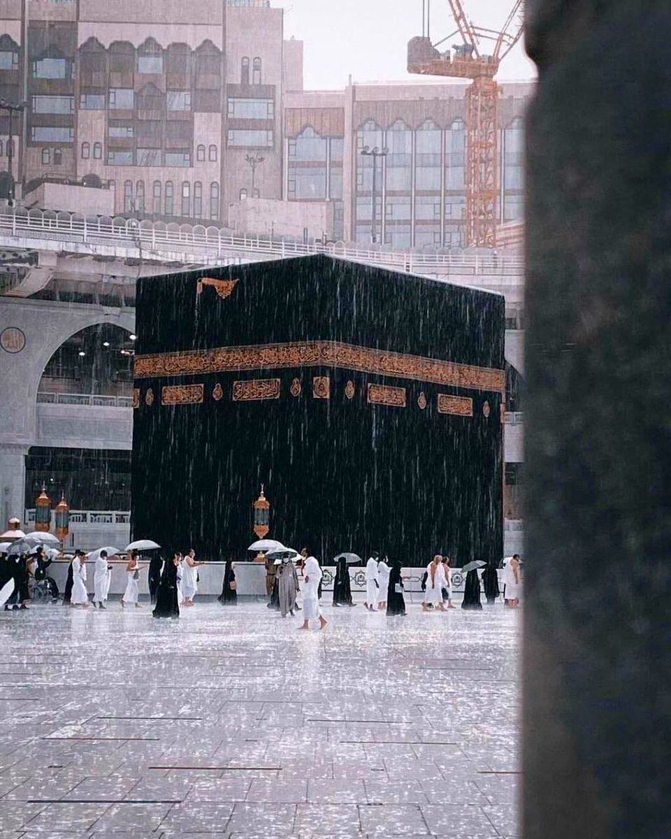 fa_T00m's tweet photo. #مكه

"يا لَيت بيني وبَين مكة شارع ، كُلما ضَاق صدري ذهَبت إليها"🌿🖤. https://t.co/Mse0hbpp4b