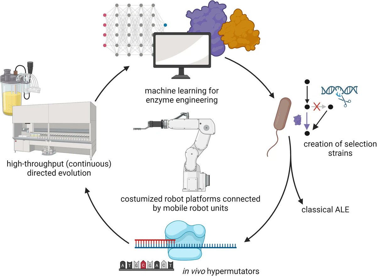 Nikel SEM Group tweet media