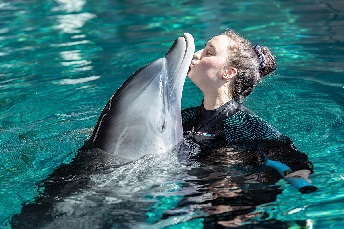 Sending you virtual kisses from Clearwater Marine Aquarium!