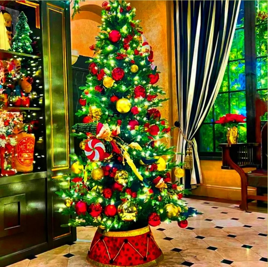 2024 has been such an incredible year of elevation, wow, reflecting on the Goodness of God and celebrating, excited for what's next!!!🥰🎄 Enjoying the holiday season...surrounded by Love!🎊❤🌟 #Christmas #Holidayseason #love #family #ChristmasTree #Thankful #HappyHolidays