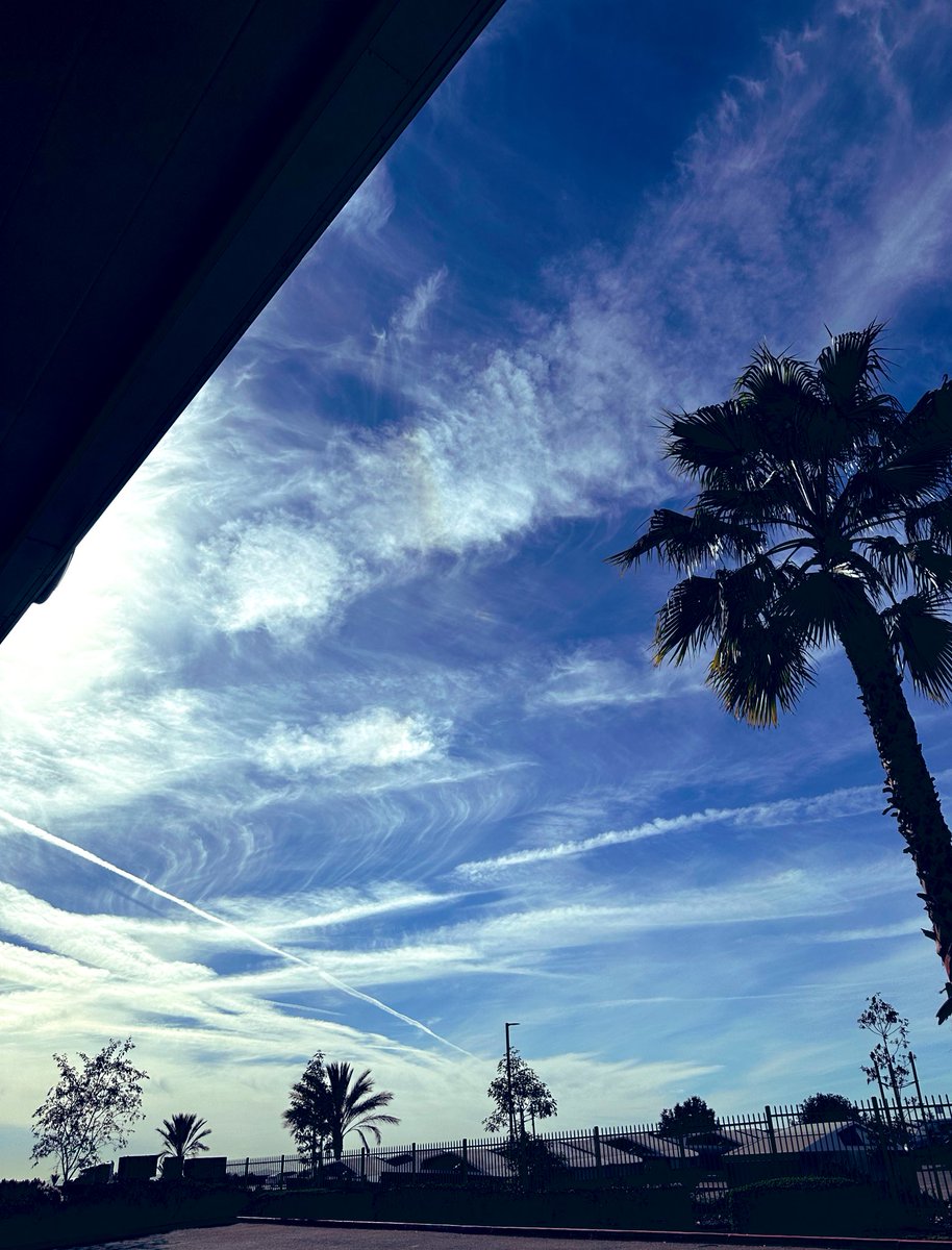 NKaravedas's tweet image. Officially on Christmas Break🌲 and my #DriveHome didn't disappoint! 😎🙌🏽💙

Enjoy the rest of your week everyone! #Admissions #LoveEducation #IE #Blessed @StormHour