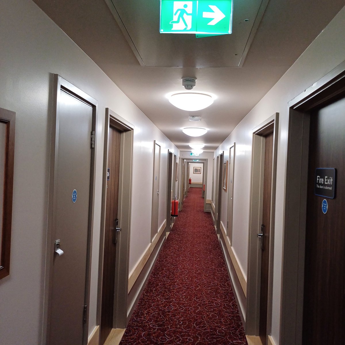 Stephen France tweet media