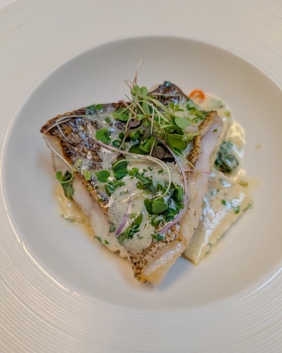 nickandgs's tweet photo. Fresh from sea to spotlight—Chef Dona’s Catch of the Day is a showstopper you don’t want to miss.

#nickandgs #ranchosantafe #catchoftheday https://t.co/BIUlLixPU9
