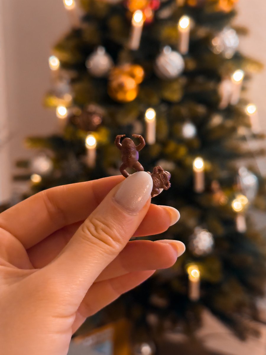 MVRIIIEE's tweet photo. Im 16., 17., 18. und 19. Türchen meines Harry Potter Adventskalenders warteten: Snape, der sprechende Hut, Fizzing Whizzbees und Schokofrösche. 🐸🍫✨🪄
#Adventskalender2024 #SechszehntesTürchen #SiebzehntesTürchen #AchtzehntesTürchen #NeunzehntesTürchen #HarryPotter https://t.co/tJ2yMI1Ync